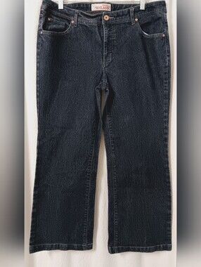 FADED GLORY Classic Dark Blue Stretch Flare Jeans - Women Size 16P